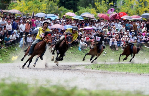 Lễ hội đua ngựa Bắc Hà